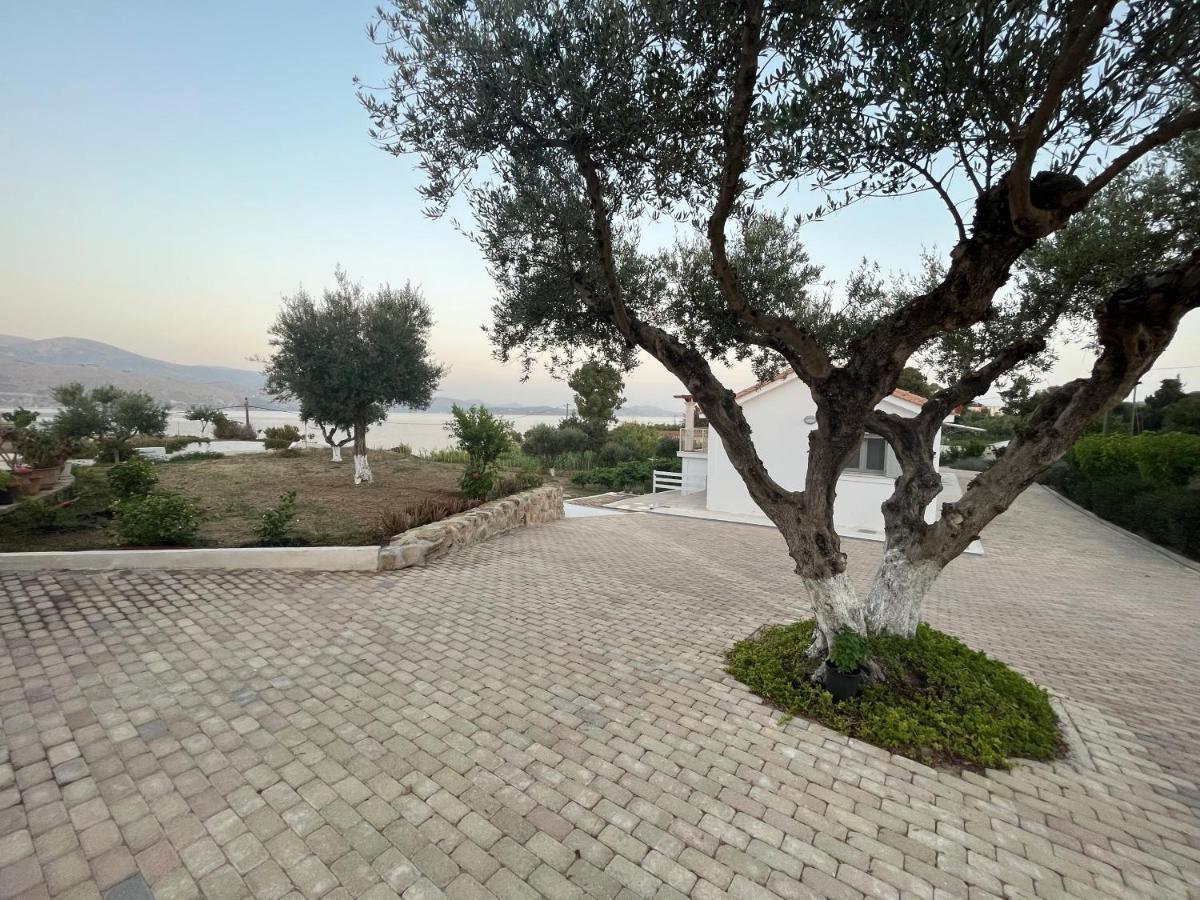 Apollonides Seafront Villa 2 Melete Lixouri Exterior photo
