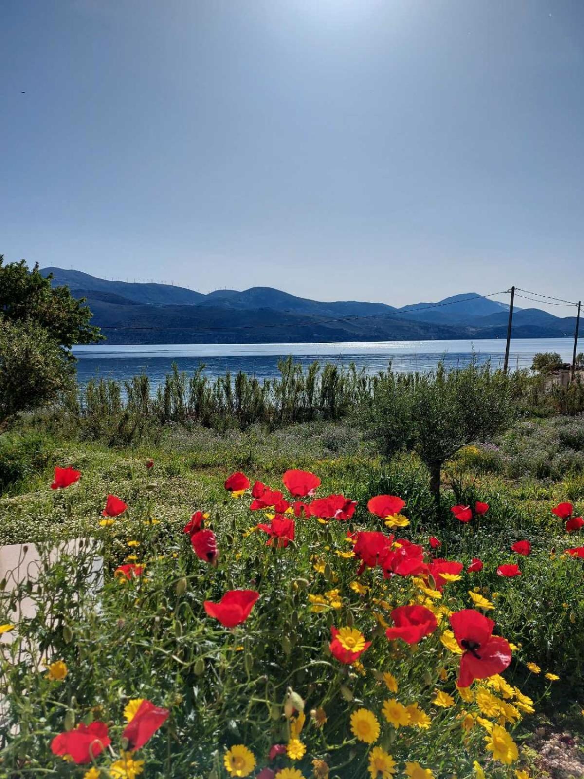 Apollonides Seafront Villa 2 Melete Lixouri Exterior photo
