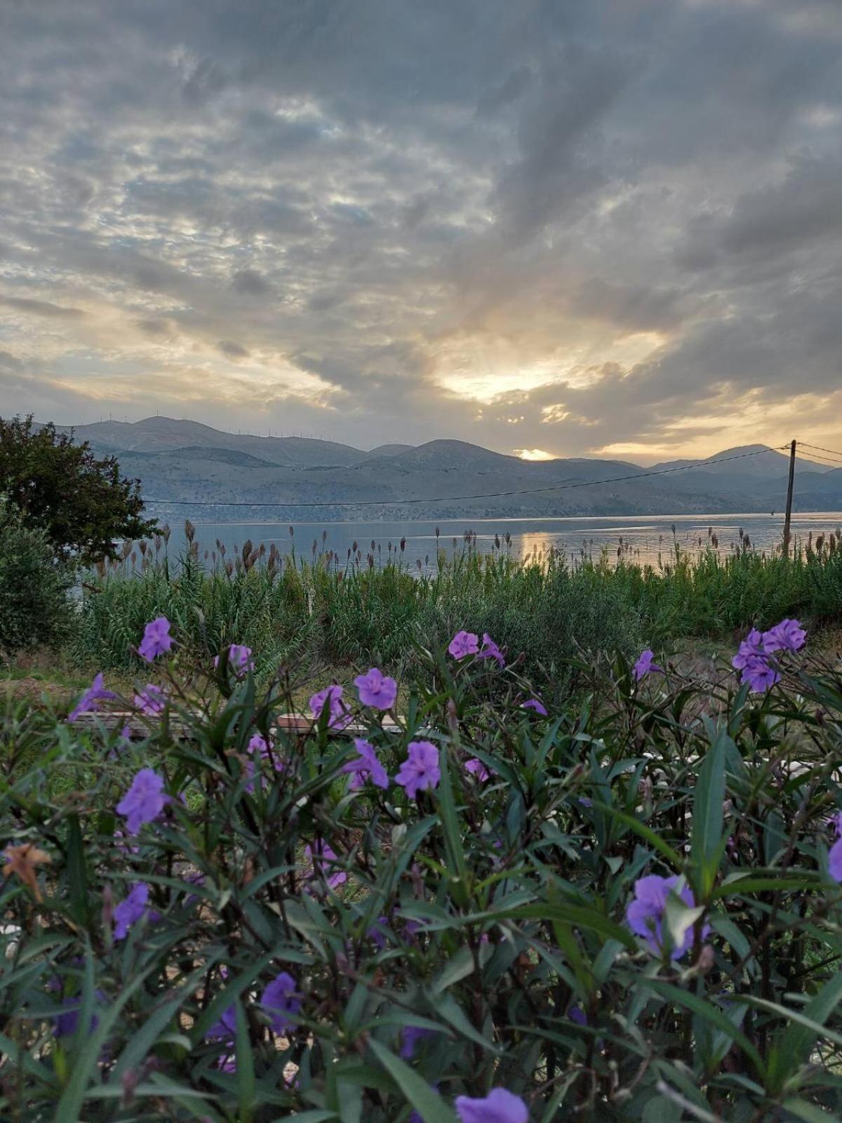 Apollonides Seafront Villa 2 Melete Lixouri Exterior photo